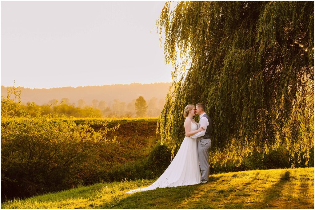 Snohomish wedding photographer gsquared weddings a couple stands under a large hanging willow tree during sunset The bride wears a long white gown and the groom is in light-colored attire The golden sunlight casts a warm glow over the grassy hillside and distant trees Serving seattle snohomish and washington state Snohomish wedding photographer gsquared weddings a couple stands under a large hanging willow tree during sunset The bride wears a long white gown and the groom is in light colored attire The golden sunlight casts a warm glow over the grassy hillside and distant trees Serving seattle snohomish and washington state