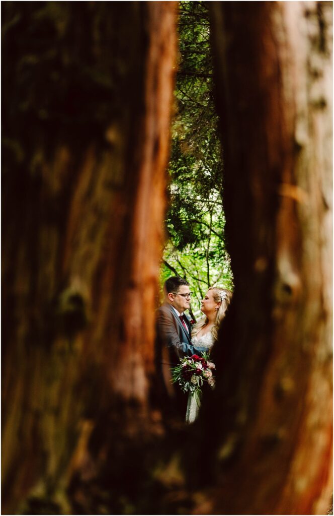 Snohomish wedding photographer gsquared weddings a couple stands close smiling at each other in a lush forest setting They are framed by two large tree trunks creating a natural vignette that draws focus to them The surrounding foliage is vibrant and green Serving seattle snohomish and washington state Snohomish wedding photographer gsquared weddings a couple stands close smiling at each other in a lush forest setting They are framed by two large tree trunks creating a natural vignette that draws focus to them The surrounding foliage is vibrant and green Serving seattle snohomish and washington state