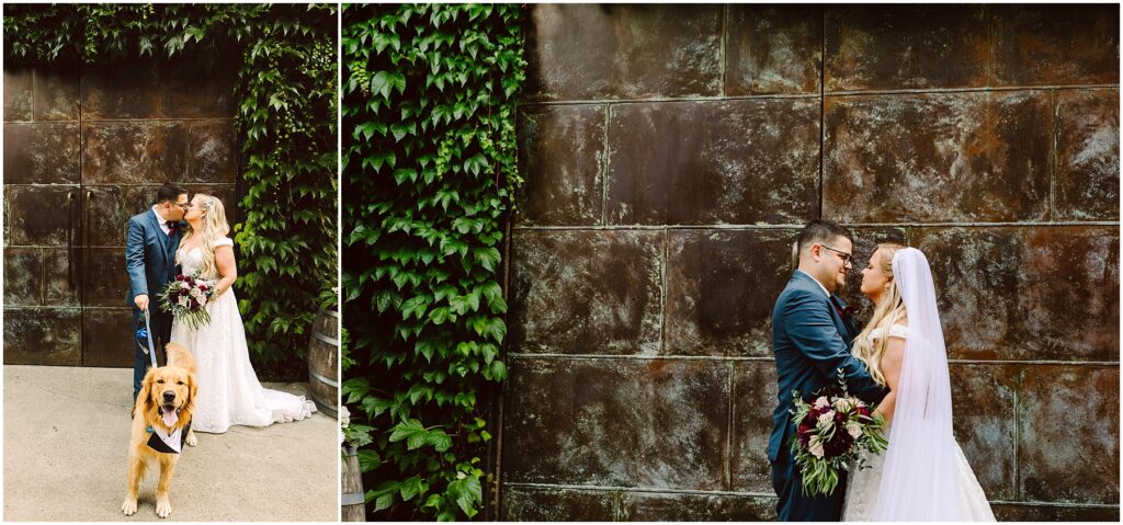 Snohomish wedding photographer gsquared weddings a bride and groom embrace in front of a large textured wall with green foliage on the side The groom wears a dark suit the bride a white gown with a veil In an inset they stand with a golden retriever wearing a bandana Serving seattle snohomish and washington state Snohomish wedding photographer gsquared weddings a bride and groom embrace in front of a large textured wall with green foliage on the side The groom wears a dark suit the bride a white gown with a veil In an inset they stand with a golden retriever wearing a bandana Serving seattle snohomish and washington state