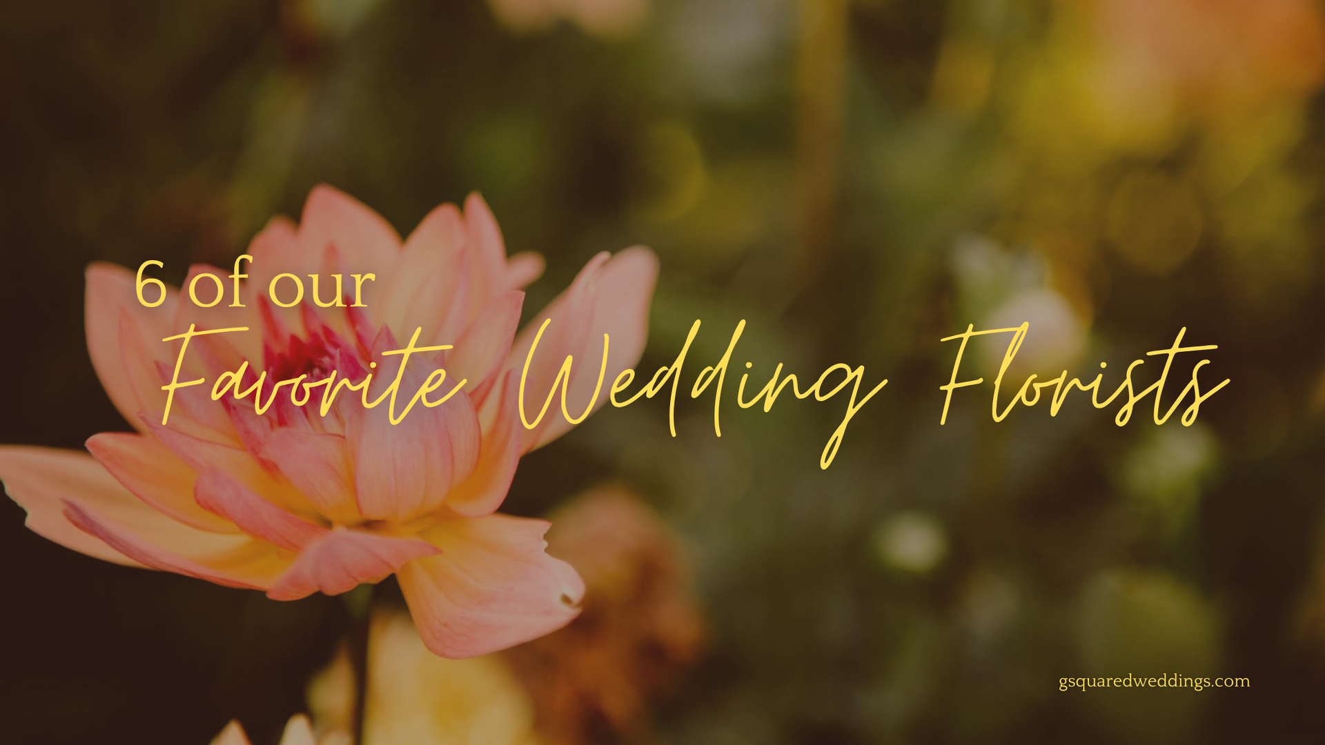 Snohomish Wedding Photographer GSquared Weddings A close-up of a pink flower with a yellow center graces the blurred garden background. Overlaid text in yellow script reads, 6 of our Favorite Wedding Florists, celebrating the artistry of top florists. Serving Seattle, Snohomish and Orlando