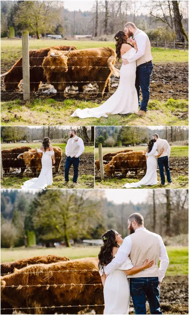 Snohomish Wedding Photographer GSquared Weddings In a charming rural setting reminiscent of Machias a bride in a white dress and her groom in jeans and a vest share an embrace With highland cows grazing peacefully beyond the fence they laugh and kiss beneath the canopy of lush trees and greenery Serving Seattle Snohomish and Washington State Snohomish Wedding Photographer GSquared Weddings In a charming rural setting reminiscent of Machias, a bride in a white dress and her groom in jeans and a vest share an embrace. With highland cows grazing peacefully beyond the fence, they laugh and kiss beneath the canopy of lush trees and greenery. Serving Seattle, Snohomish and Washington State