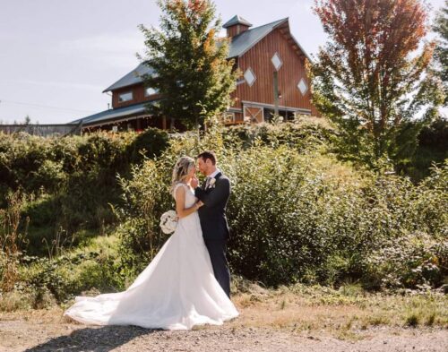 A bride and groom stand facing each other outdoors surrounded by greenery with a rustic barn in the background The bride holds a bouquet and wears a long white dress sunlight highlights the romantic scene Snohomish Wedding Photography A bride and groom stand facing each other outdoors, surrounded by greenery, with a rustic barn in the background. The bride holds a bouquet and wears a long white dress; sunlight highlights the romantic scene. Snohomish Wedding Photography