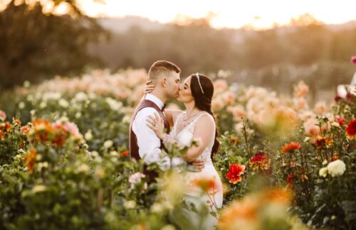 A bride and groom embrace and share a kiss in the middle of a colorful flower garden at sunset surrounded by blooming flowers with soft golden light in the background Snohomish Wedding Photography A bride and groom embrace and share a kiss in the middle of a colorful flower garden at sunset, surrounded by blooming flowers with soft, golden light in the background. Snohomish Wedding Photography