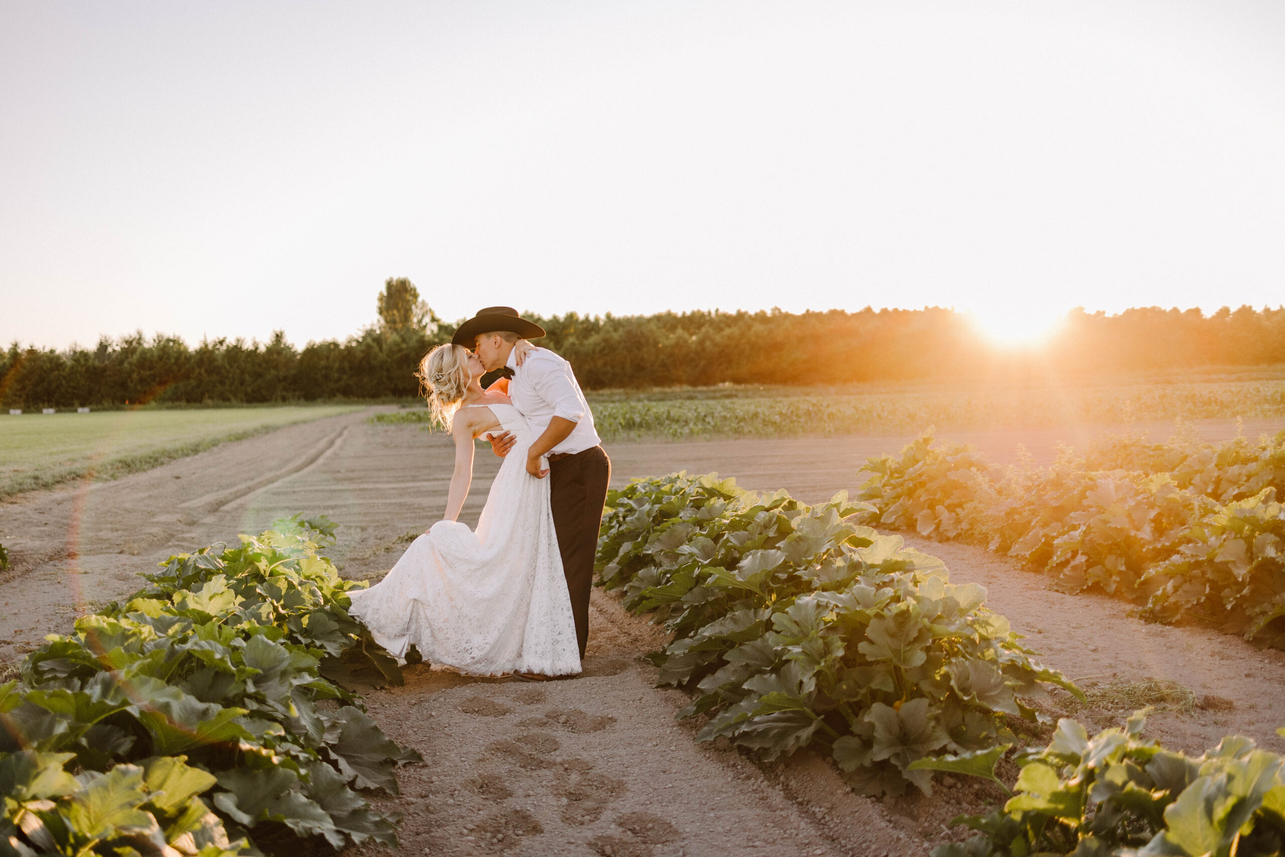 A couple kissing in a white wedding dress and black hat in a rural field at sunset embracing among leafy plants