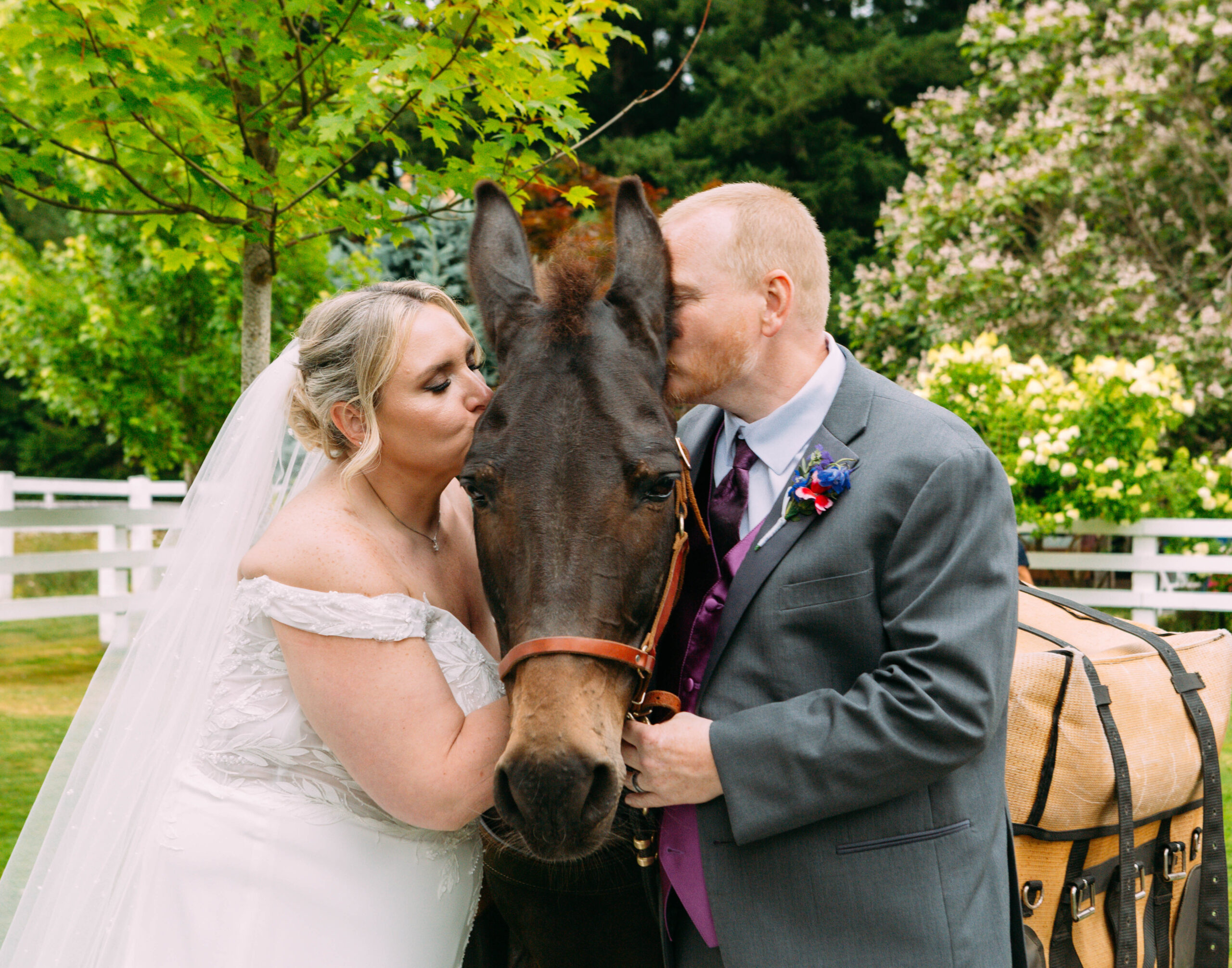 Bride in white gown and groom in gray suit kissing a dark horse on each cheek at an outdoor garden wedding venue.