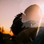 Silhouette of a person overlaid with a forest and mountain landscape at sunset.