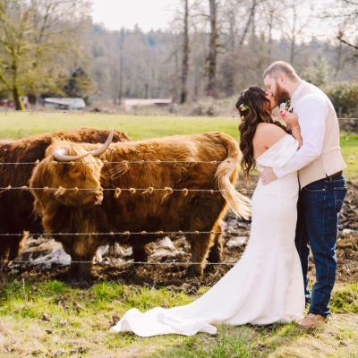 Bride and groom kissing near fence with cattle and rural landscape in the background.